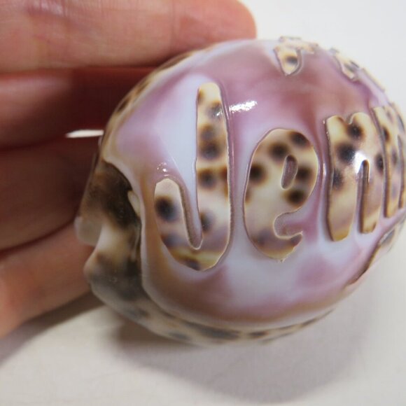 REAL Sea Shell Hand-Carved “Jennifer” Cowrie Shell Hawaiian - Picture 5 of 10